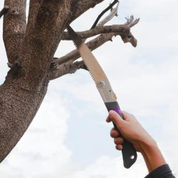 PRUNING SAW